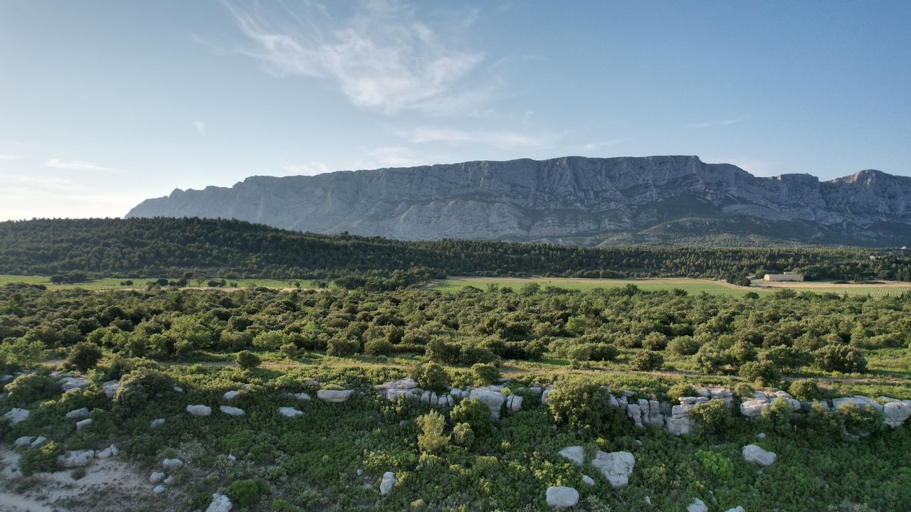 Tranquil landscape of Montagne Sainte-Victoire in Provence, France.